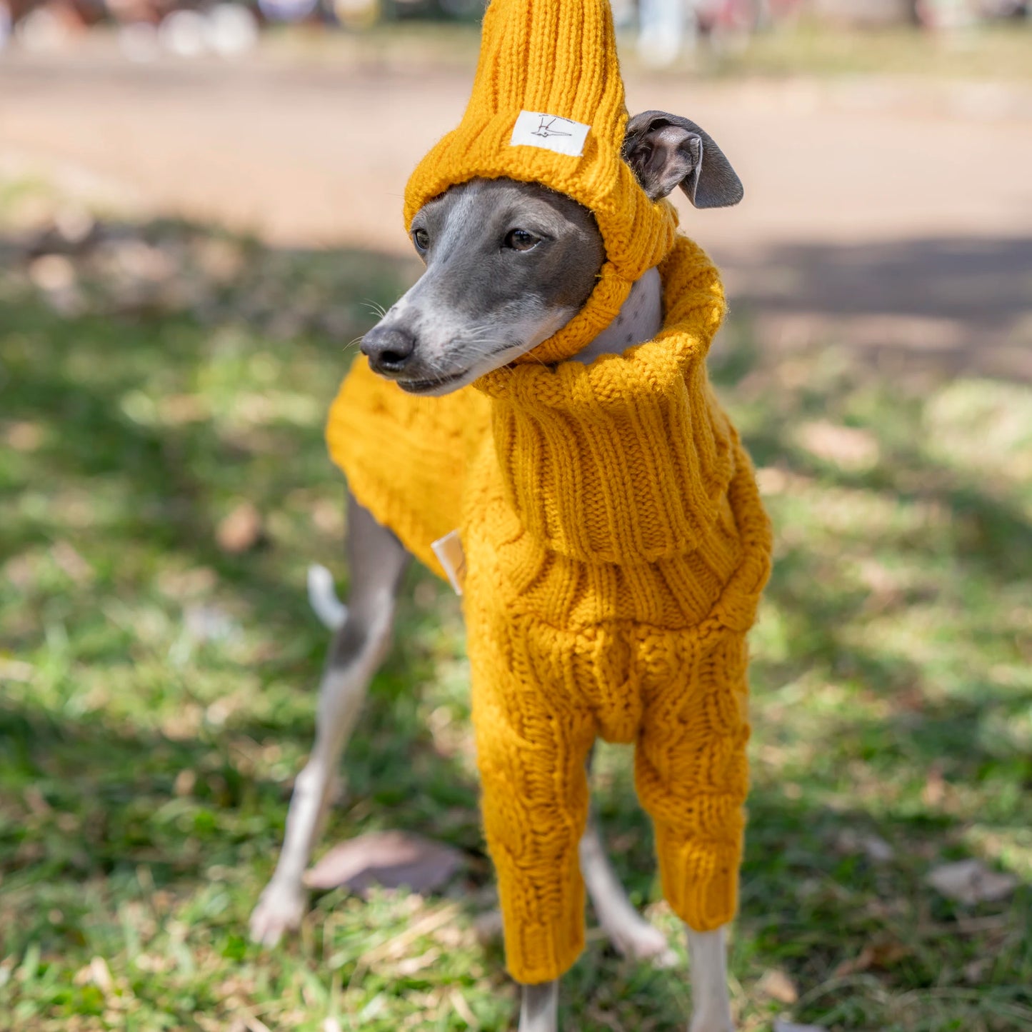 Warm Autumn Pet Sweater Stylish Turtleneck Italian Greyhound Clothes Whippet Clothing