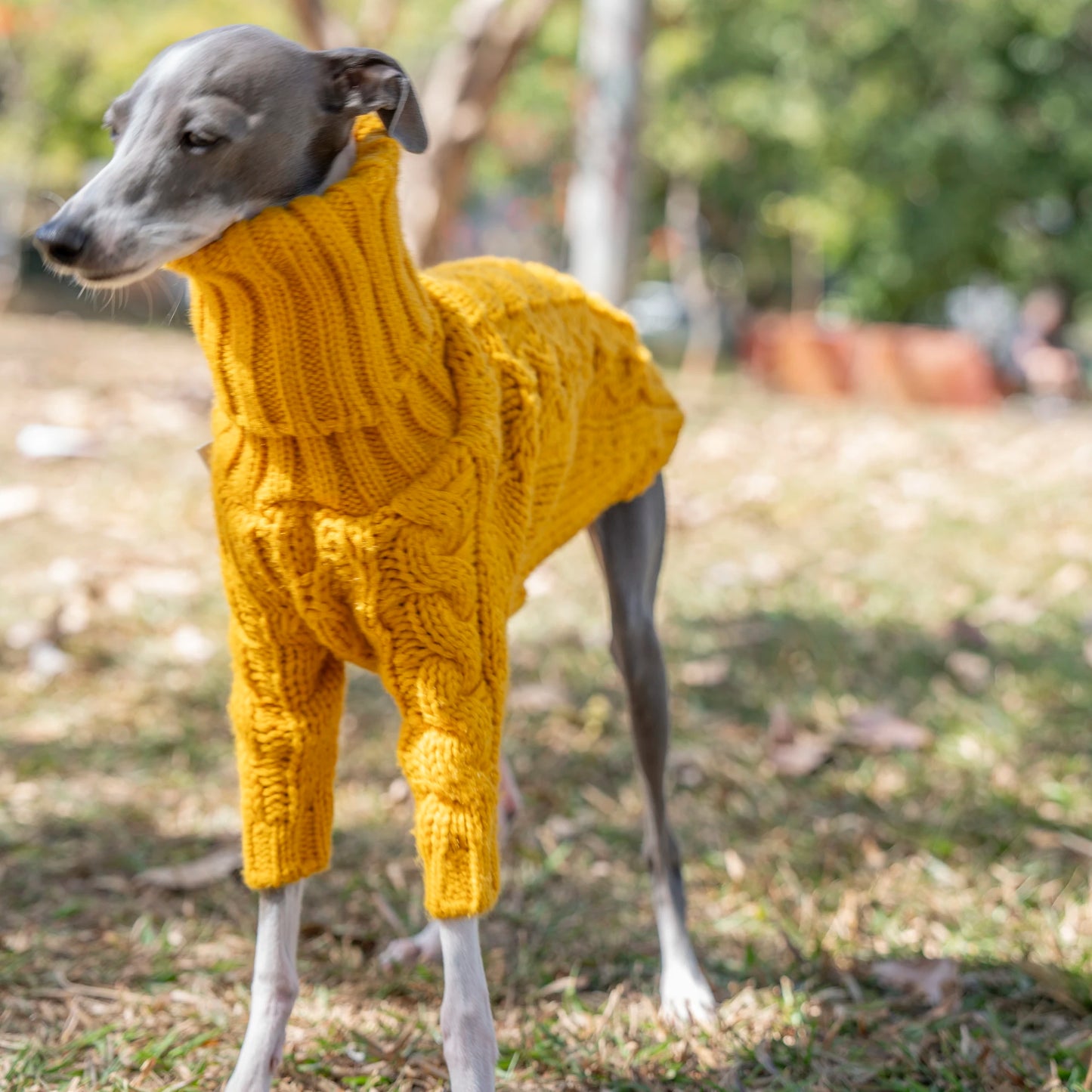 Warm Autumn Pet Sweater Stylish Turtleneck Italian Greyhound Clothes Whippet Clothing