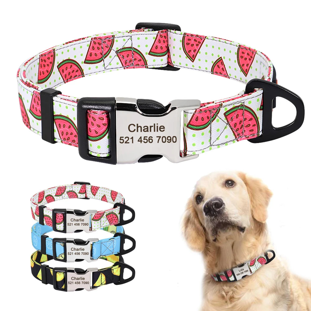 Personalized Dog Collar That’s Uniquely Yours