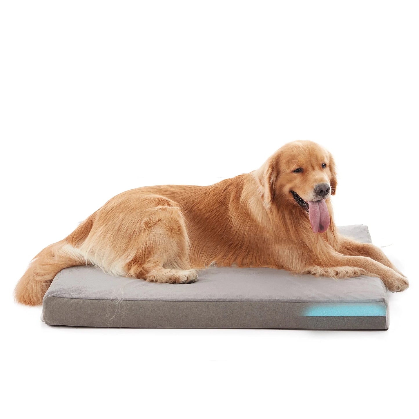 Orthopedic Dog Bed Waterproof Deluxe Plush Dog Beds with Removable Washable Cover Anti-Slip Bottom Pet Sleeping Mattress