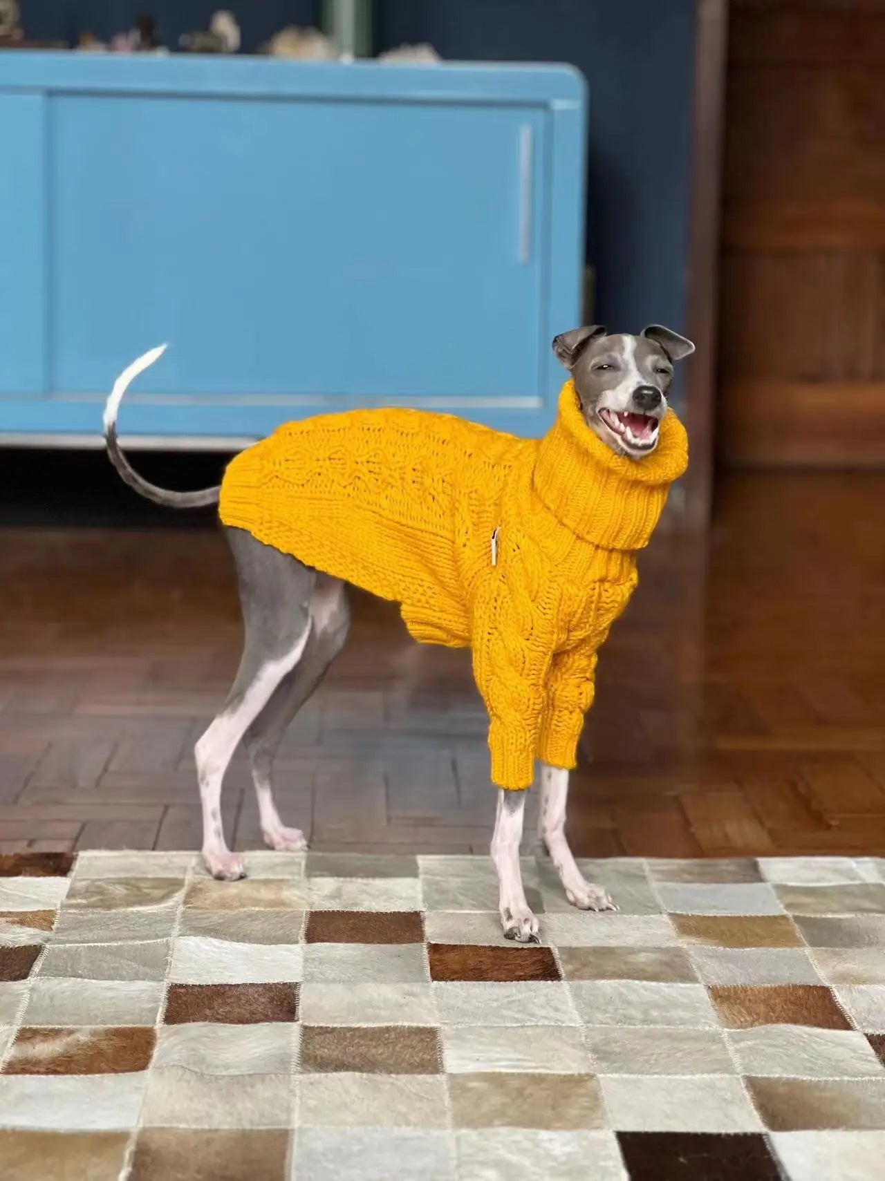 Warm Autumn Pet Sweater Stylish Turtleneck Italian Greyhound Clothes Whippet Clothing